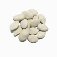 Sementes de abóbora brancas com salinidade 60% salgada